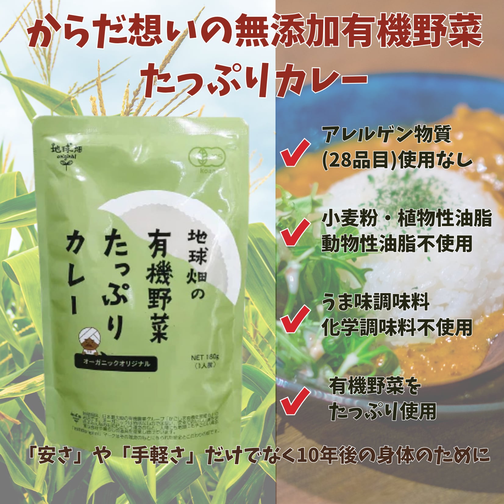 地球畑の有機野菜たっぷりカレー