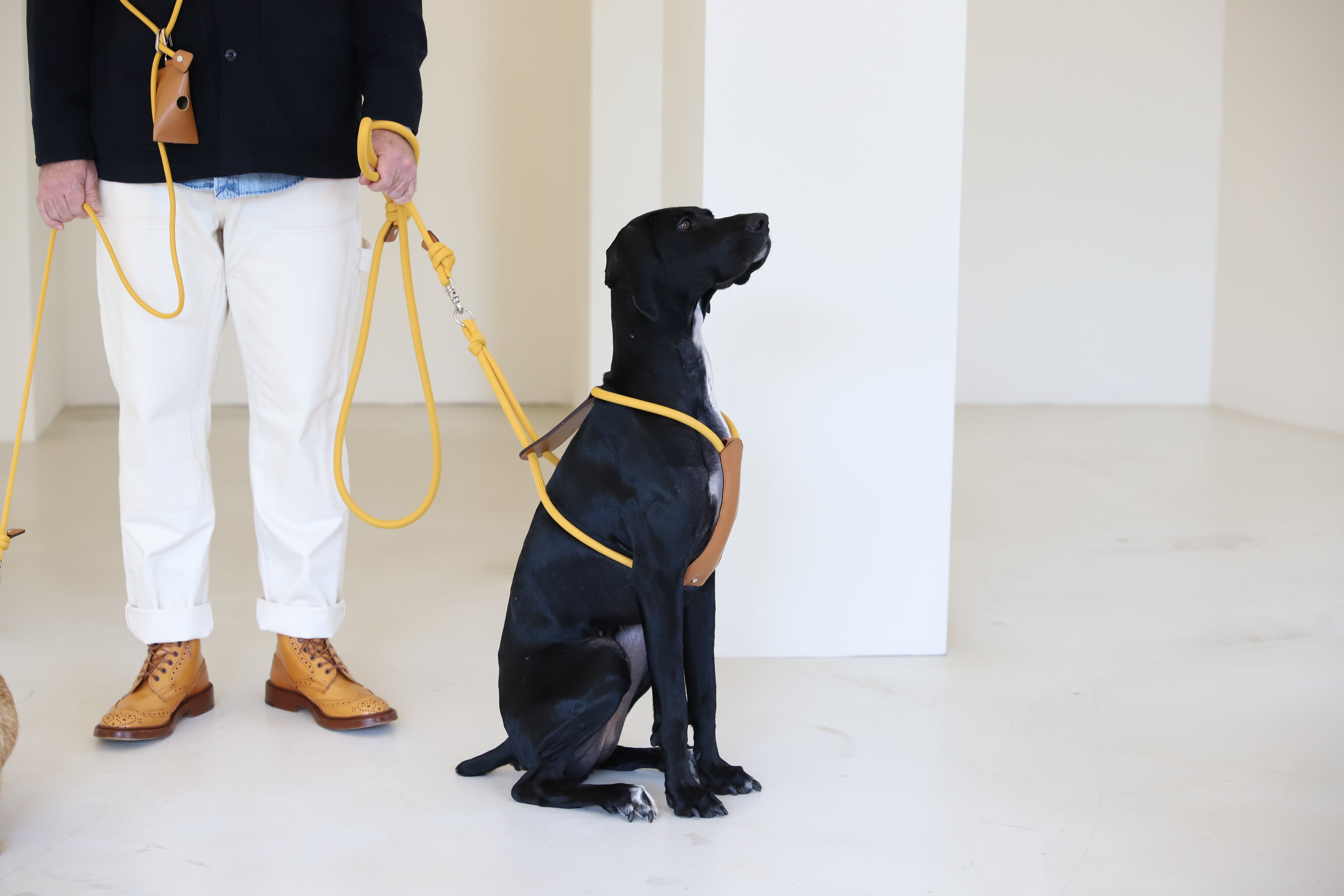 HOZI】エッセンシャルリーシュ リード「Sサイズ」 | おしゃれなペット