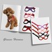眼鏡型　グラスハーネス　ソフトタイプ　小型犬 犬用 ペット用 犬具　フェルト調　猫ハーネス　犬ハーネス　簡単装着　PAE0011