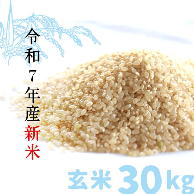 新米福井県産コシヒカリ{玄米}30kg 新米30kg】福井県産コシヒカリ 福井