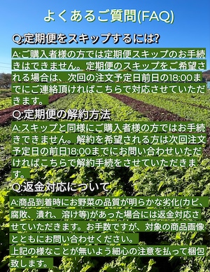 【リニューアル!】野菜計画の"濃い味"野菜箱（＊月１回配送）