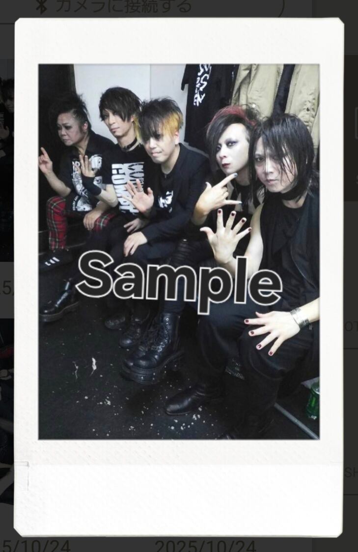 MADMED 架空使てんるサインありチェキ券 11枚セット 架空使てんる