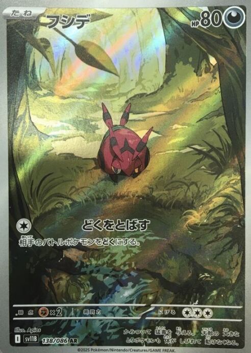 【Bランク】フシデ(AR)