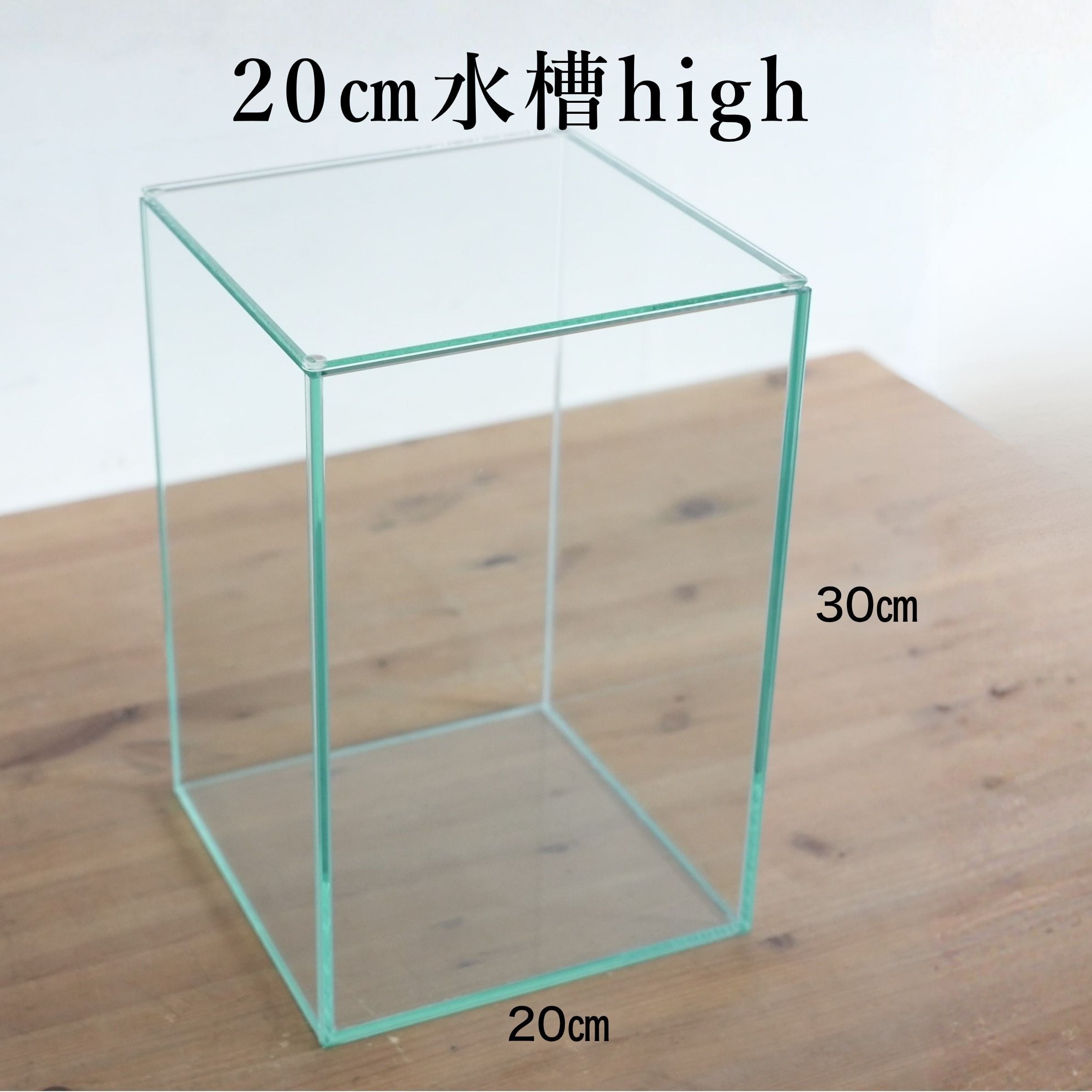 【ガラス容器】 苔テラリウム用 20cmガラス水槽High (20㎝ × 20㎝ × 高さ30㎝)◆高さのあるレイアウトに