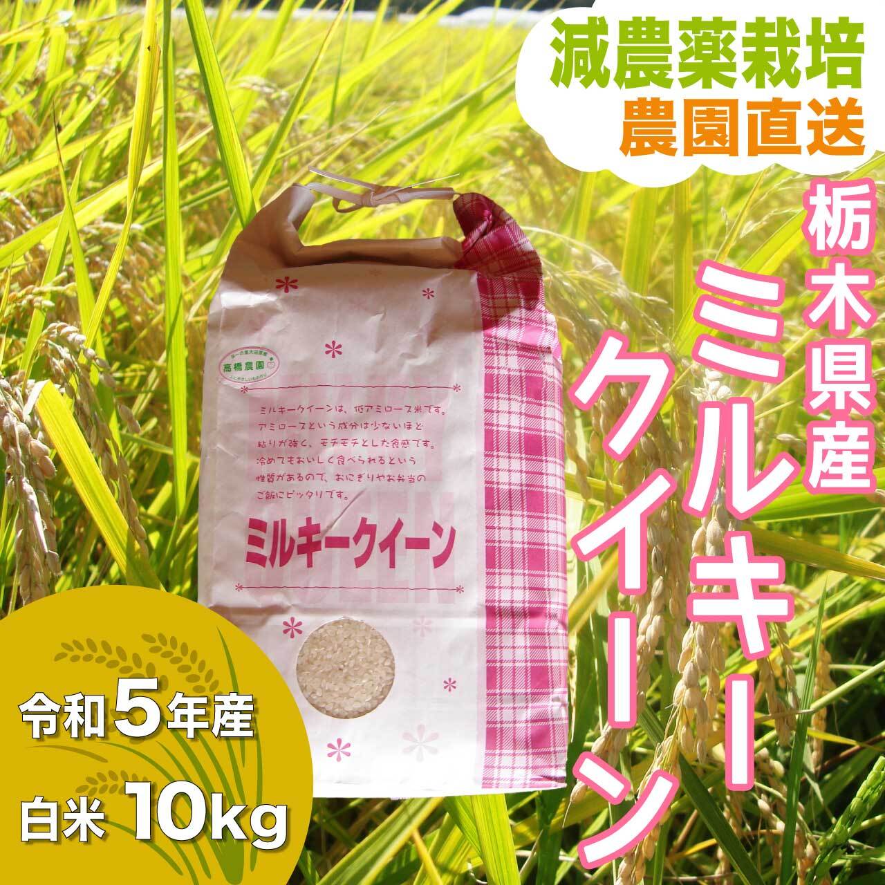 白米10kg　ミルキークイーン　令和5年産　高橋農園｜産直通販「あるよ」応援プロジェクト