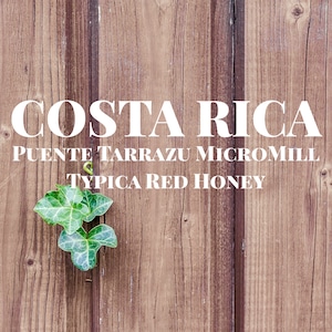 コスタリカ  プエンテタラス  ティピカ  レッドハニー      / COSTA RICA PuenteTarrazu Typica RedHoney　【150g】【中煎り】