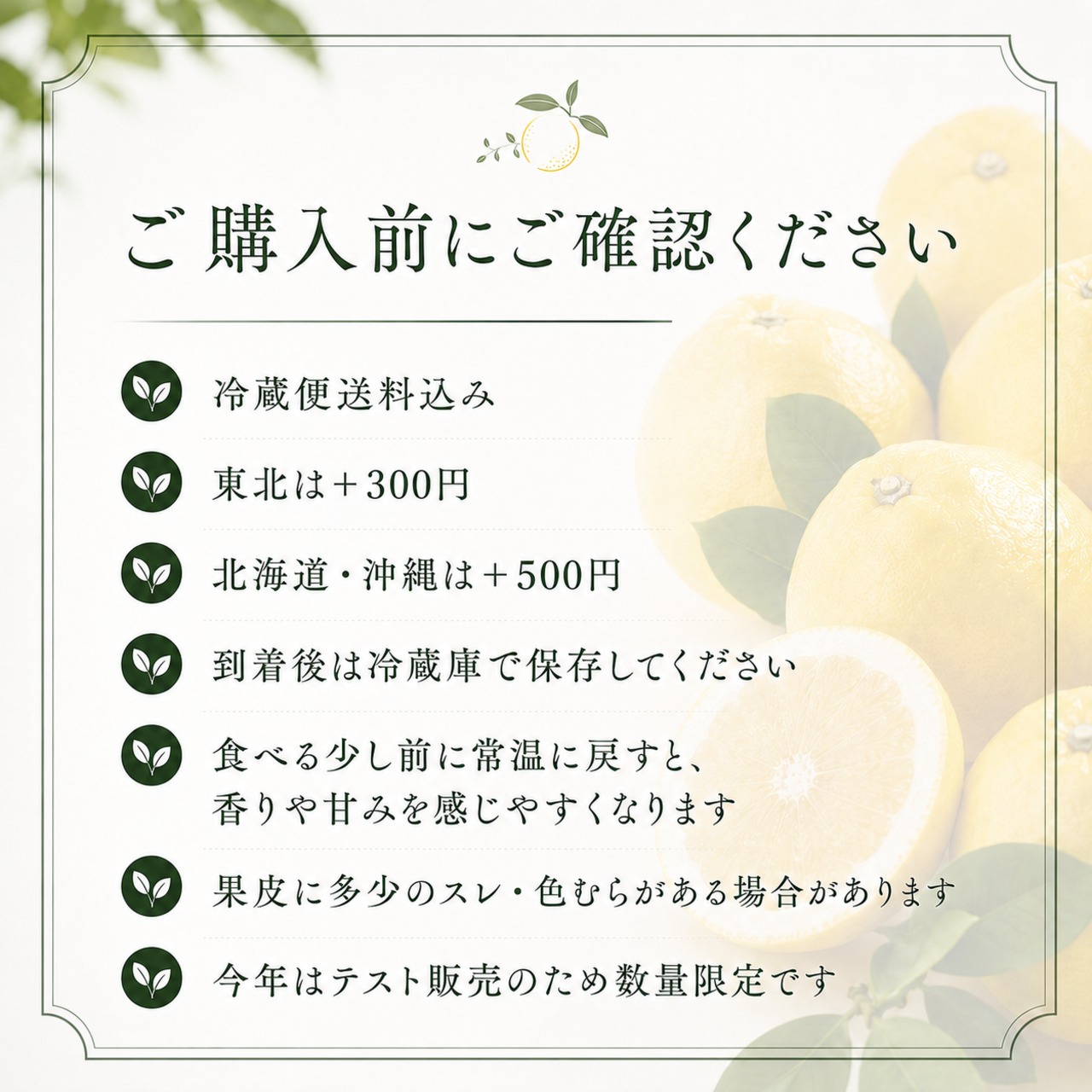 【クール便・送料込み】冷蔵貯蔵 瑞季 約3.2kg｜初回販売価格