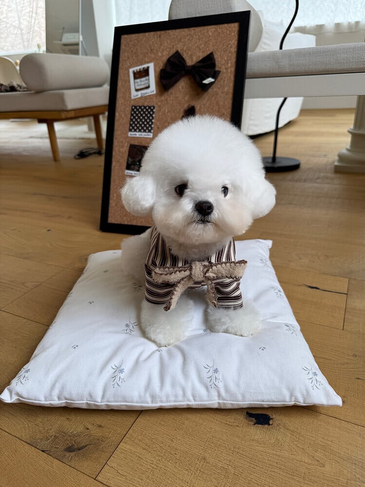 〈予約アイテム〉SICGGU/ ティラミスリボンカーディガン