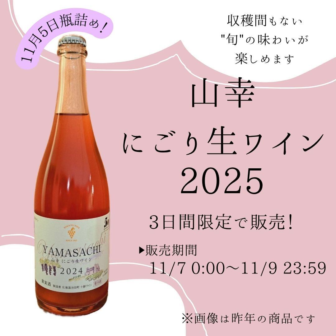【2日間限定販売】山幸 にごり生ワイン 2024