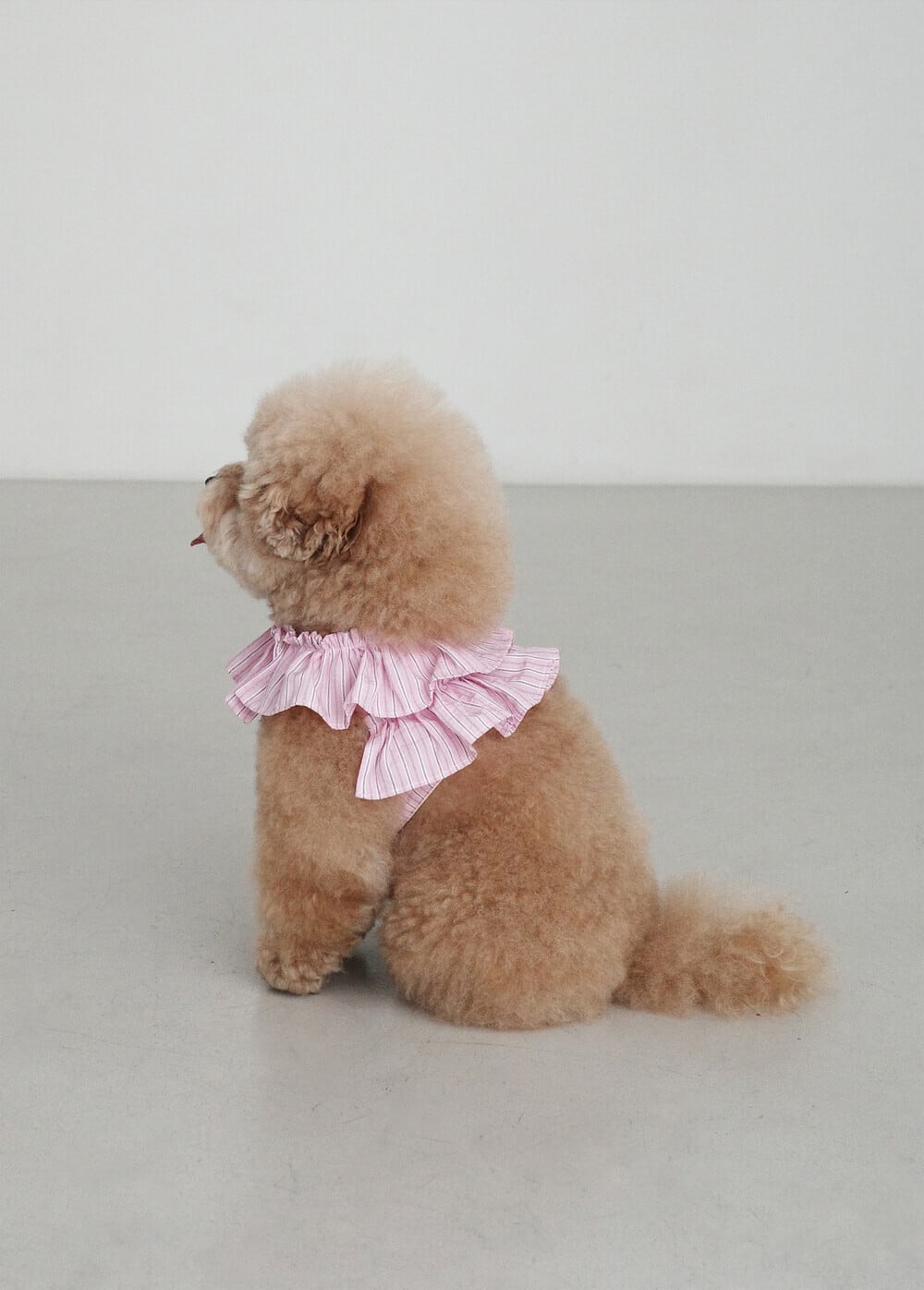 予約【OHDIBS】capeness no.19 _ Pink stripe
