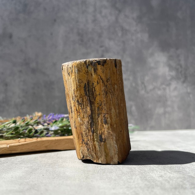 ジンバブエ・ゴクウェ産【ペトリファイドウッド（珪化木）】④（樹木の化石）鉱物 天然石 パワーストーン