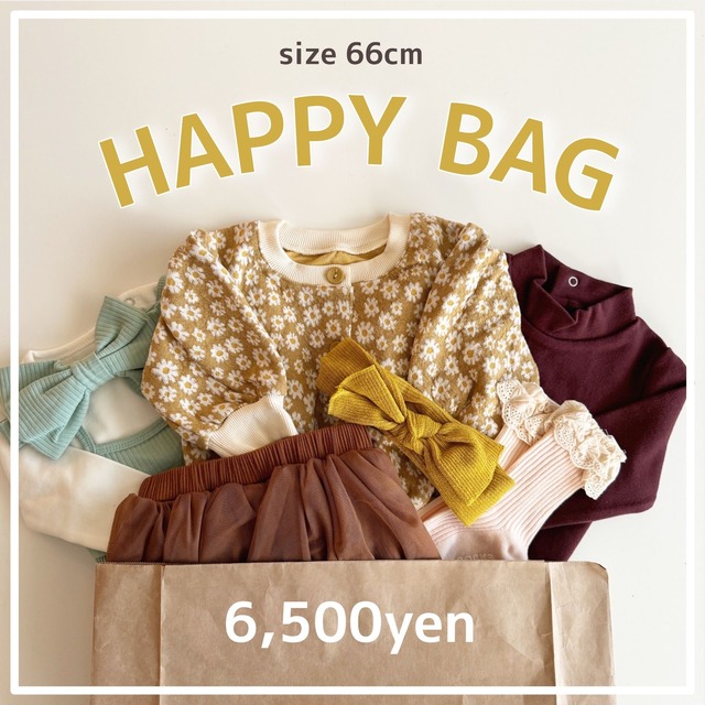 【即納】HAPPY BAG 066cm B011