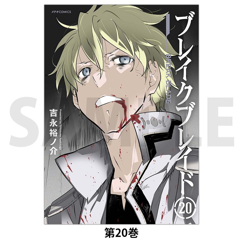 ブレイクブレイド 第20巻