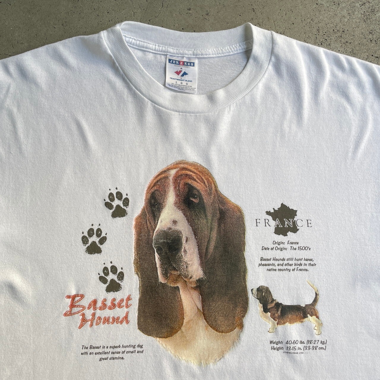 00年代 バセット・ハウンド アニマル イヌ アート プリントTシャツ 