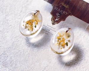 秋限定｜The Bouquet｜Kinmokusei｜Oval