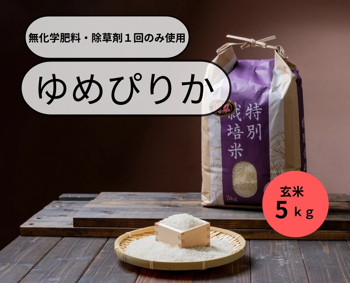 Mommy様ご専用 令和6年度米 愛媛県産ヒノヒカリ稲架掛け米 20kg 【公式