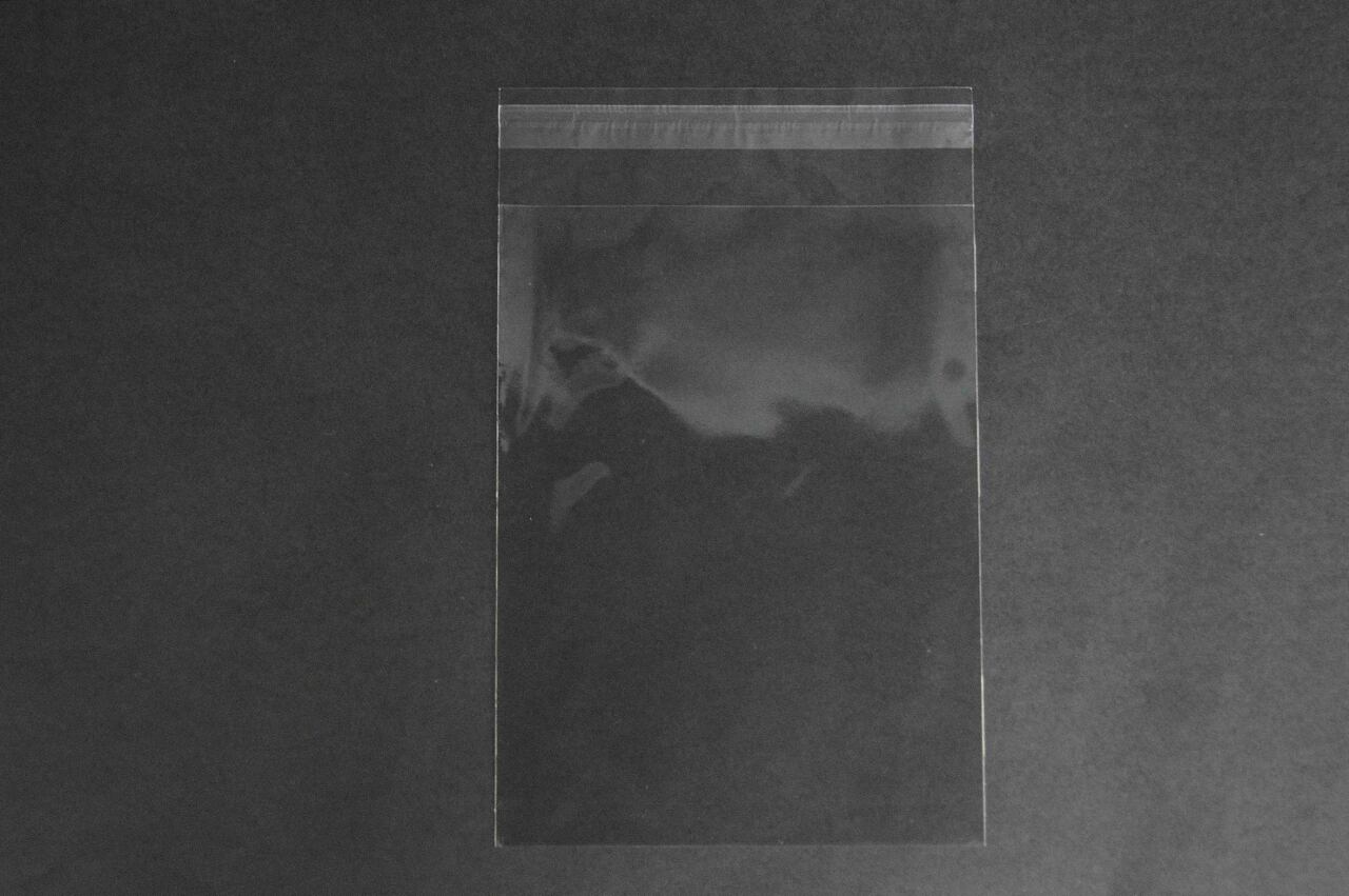 DVD/PS2/wii/XBOX包装・部品、資料整理(OPP袋 OPP袋 雑貨袋 テープ付き)横153×縦205+フタ40mm 30μ(0.03mm)【1,000枚】