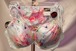[ 新品 ] パステルカラー花柄 紐パン　ブラパンセット　D75 Mサイズ　172