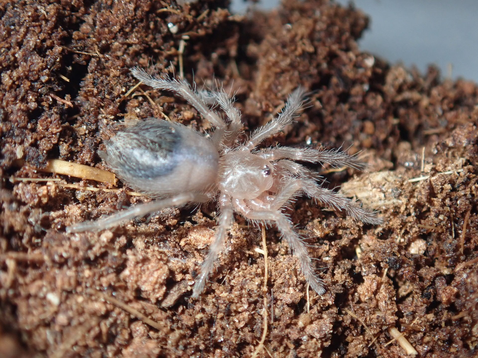 992e5d3de52f402c82fb640fb29a90