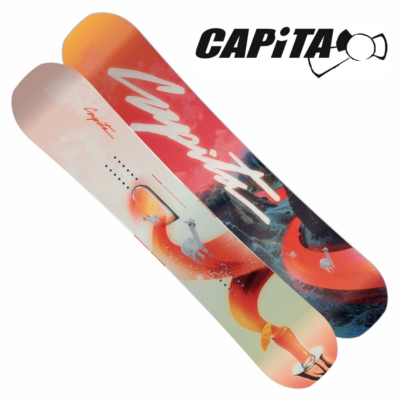 CAPITA スノーボード　レディース　145cm