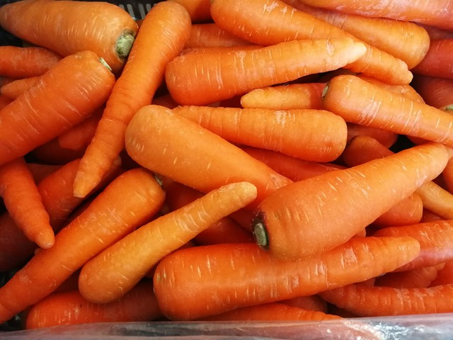 人参１kg　「嫌いな子にこそ食べて欲しい」