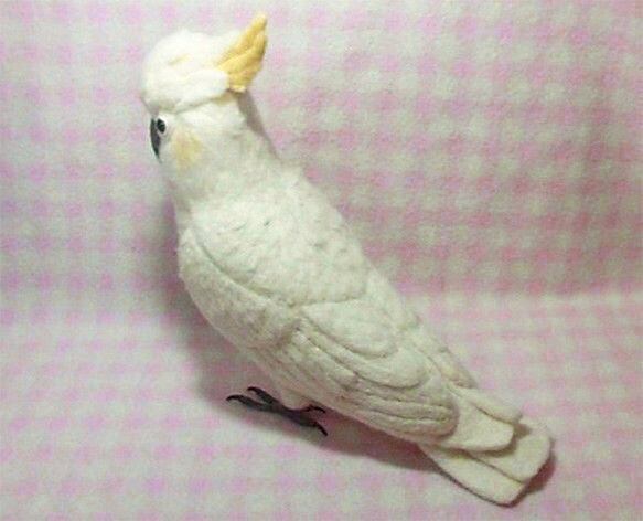 ほぼリアルサイズ♪ コバタン(コキサカオウム・キバタンに変更