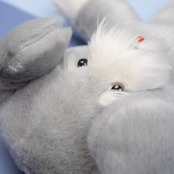 < TUULIDOG > おおきなぬいぐるみ - GLAY