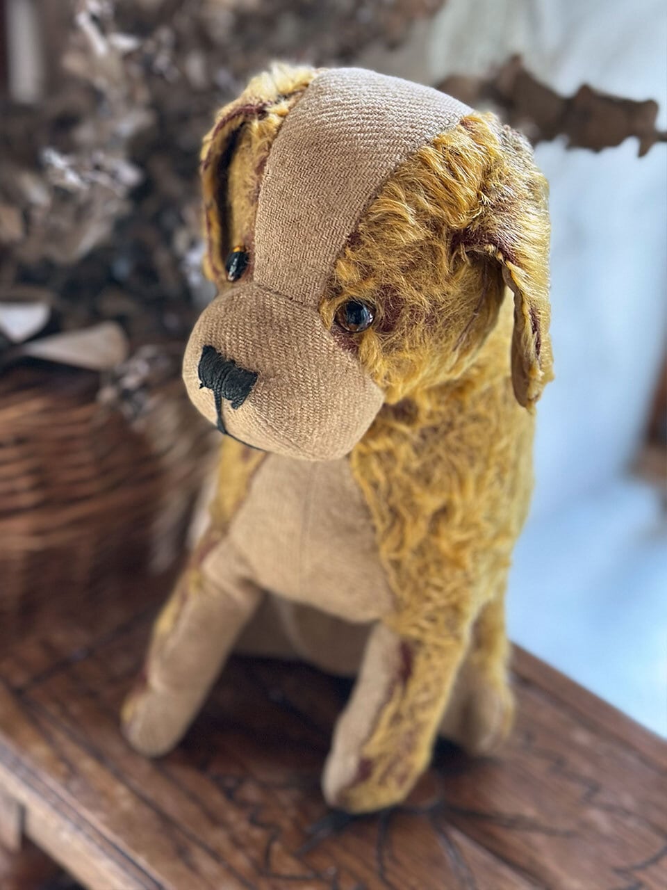 垂れ耳 犬のぬいぐるみ | Brocante de La Cocotte （フランス