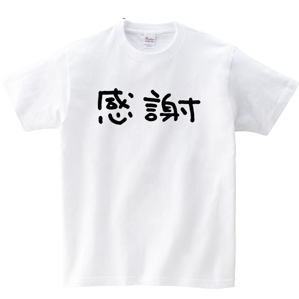 感謝 漢字 Tシャツ ka08 日本テレビの土曜ドラマ 35歳の少女 竜星涼 手書き 海外 土産