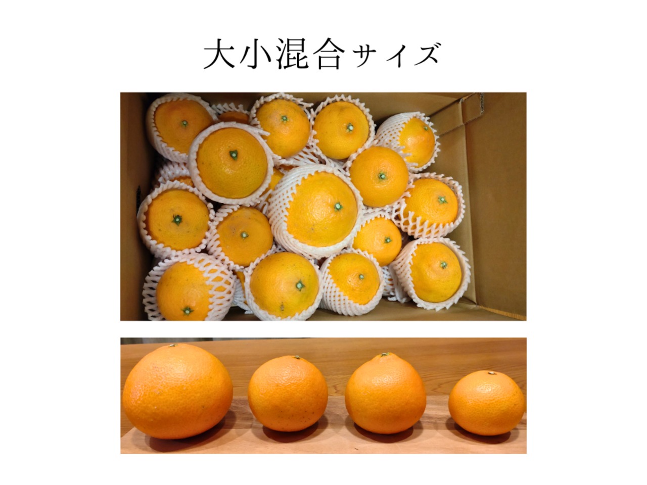 まどんな