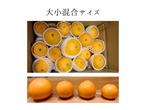 まどんな