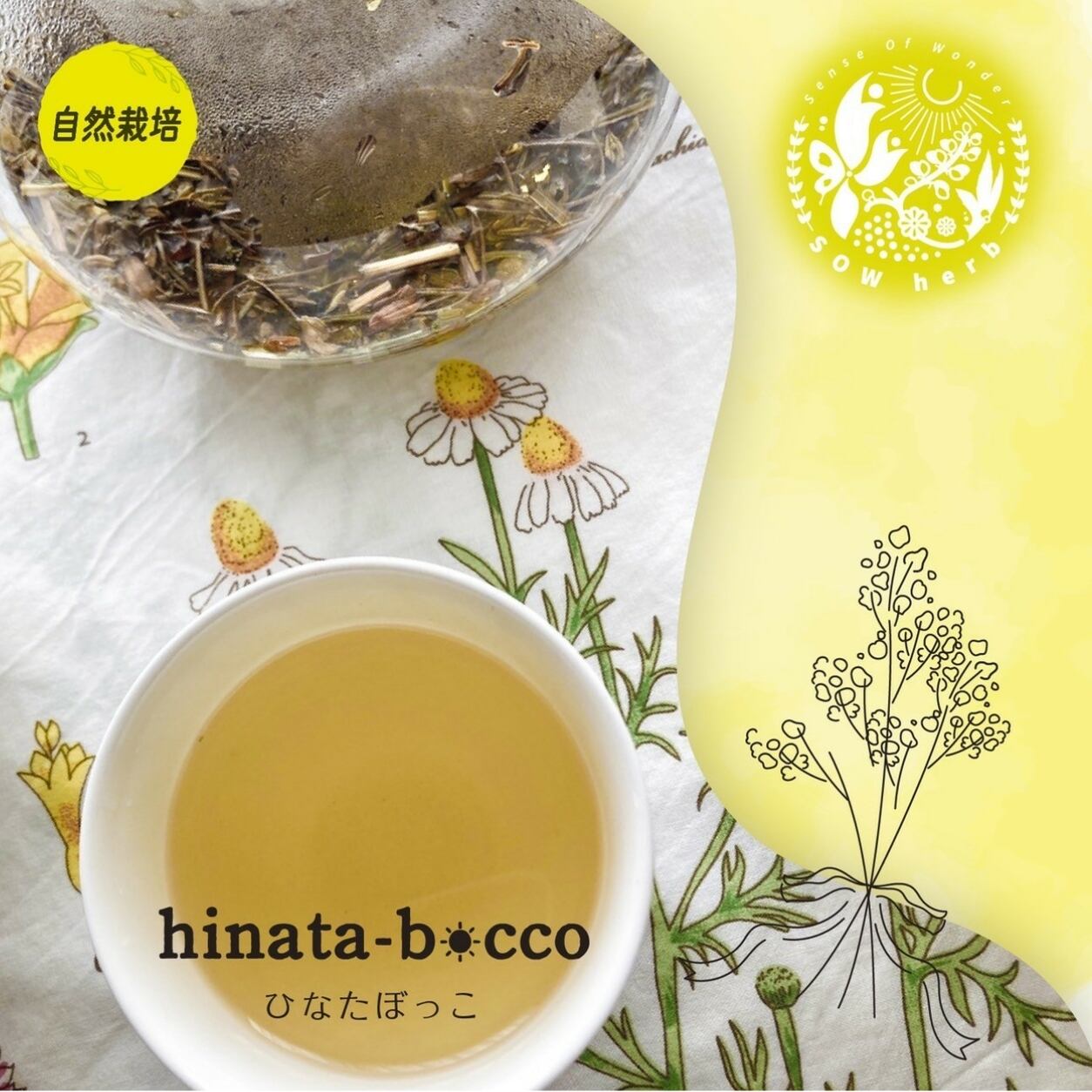 SOW herb】自然栽培ハーブティ ”hinata-bocco