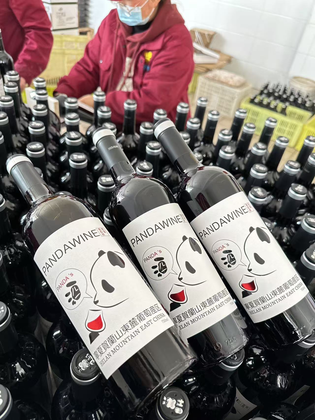 熊猫葡萄酒 赤霞珠 2021：パンダワイン カベルネ・ソーヴィニョン 2021