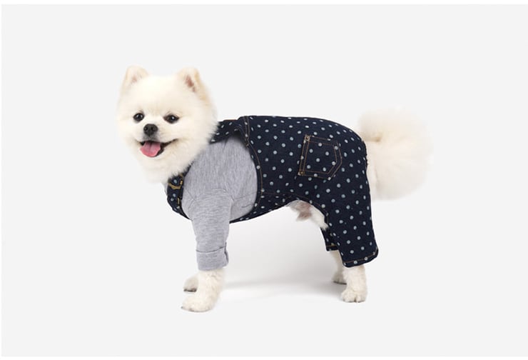 ドットデニムオーバーオール S ~ XL 2color / 犬服 オールインワン つなぎ 小型犬 中型犬 ドッグウェア お揃い 可愛い 犬の服 tsu3