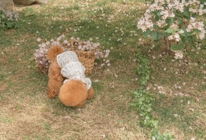 予約【pecoramou select】Lovebell One Piece