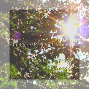 CD  音・音 【Imagine Peaceful Moments】