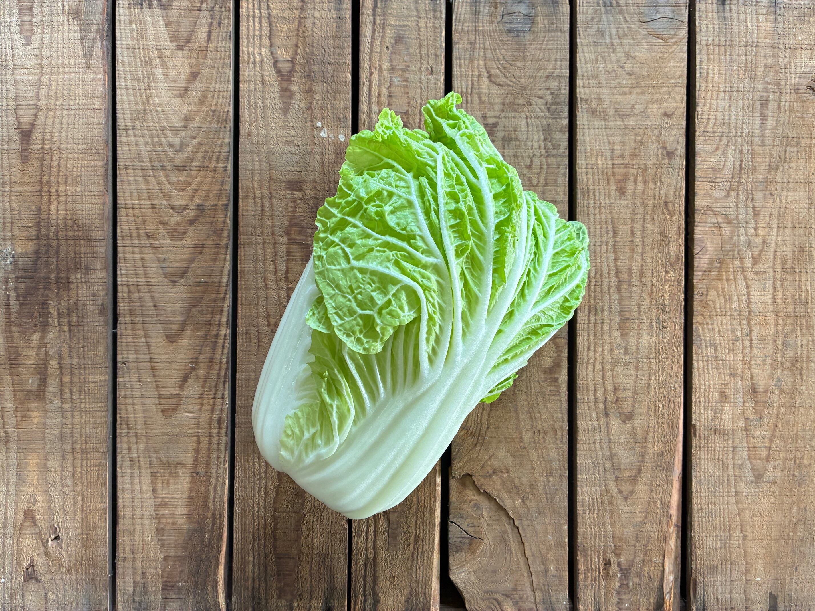 2/25(水)より隔週水曜お届け!野菜セット(6回コース) | オトワファーム