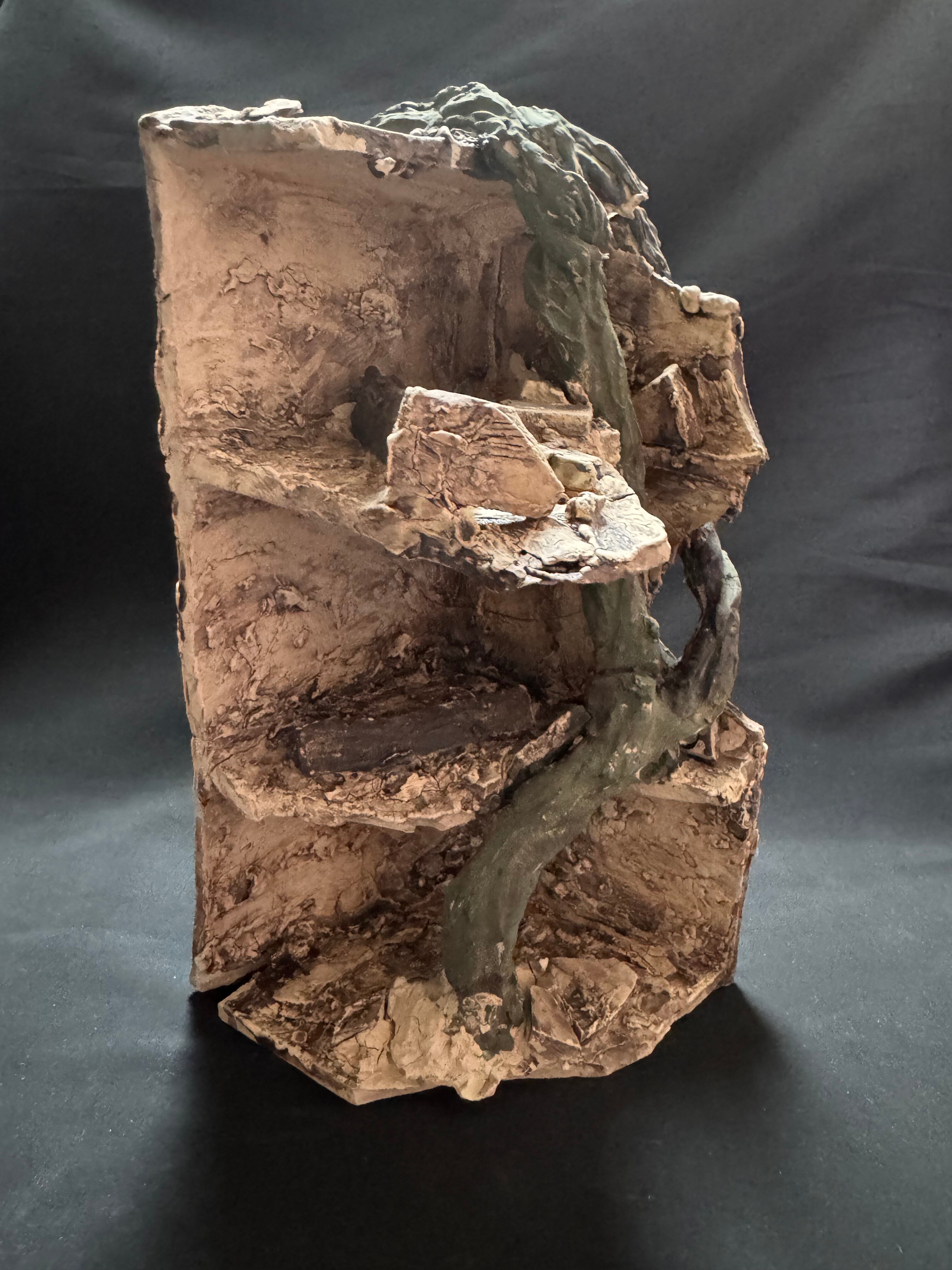 爬虫類用品 | ガラダ堂 garadadou