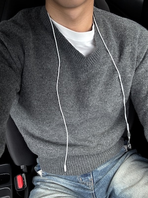 Laven Standard V-Neck Knit (3color)