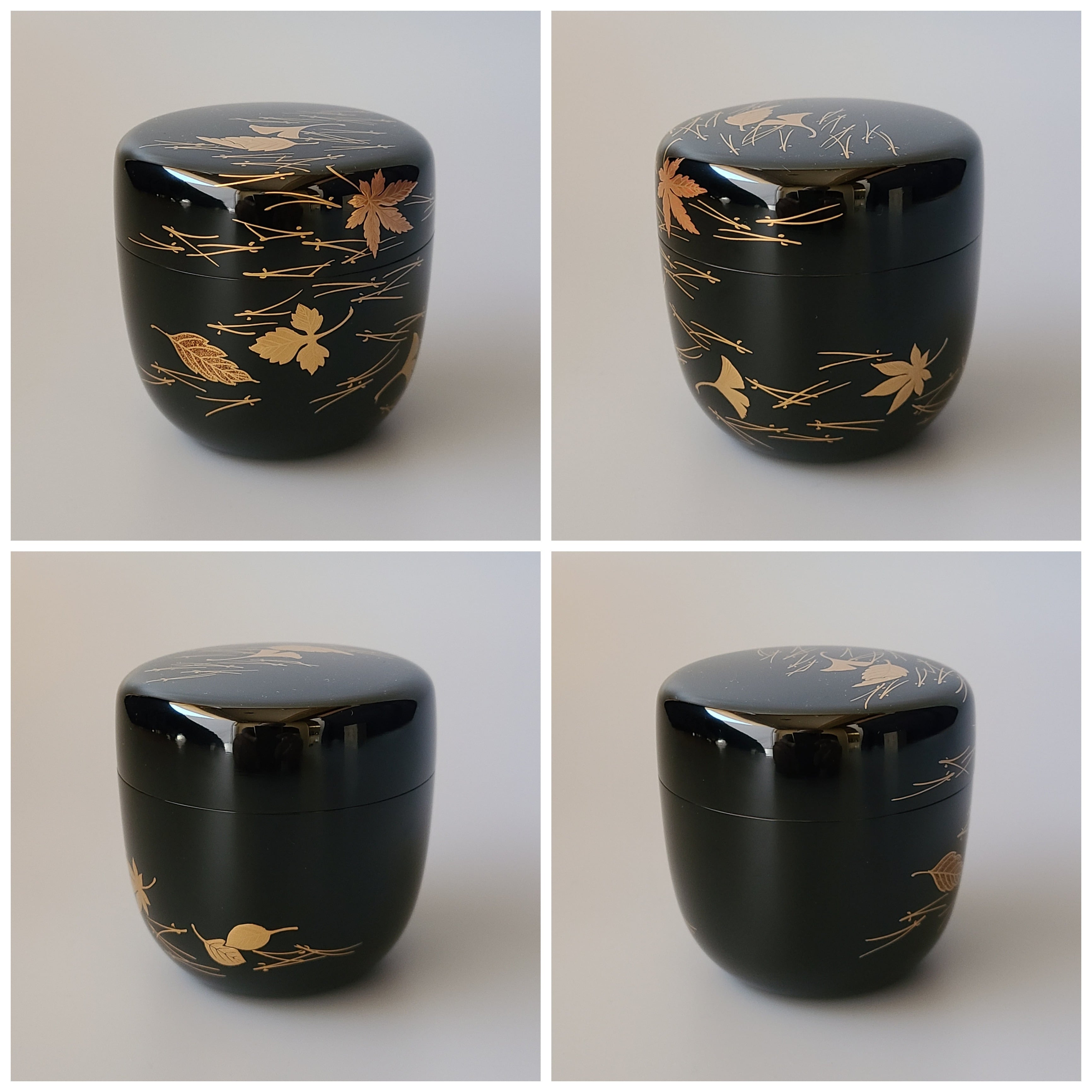 茶道具 乾漆 吹寄せ蒔絵 大棗 西條一斎 共箱 漆芸 秋 茶会 茶事