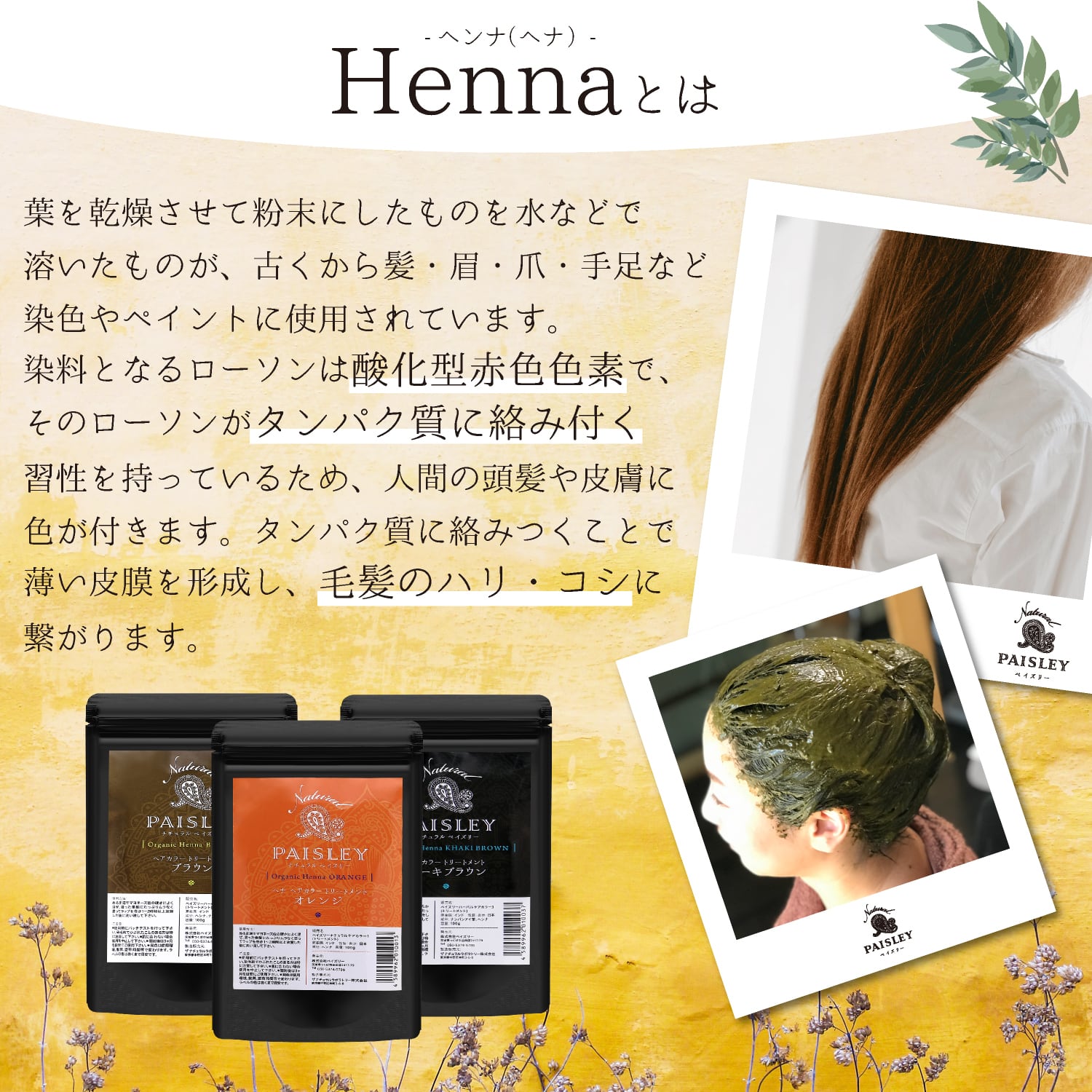 オレンジ＆アムラ セット】染め上がりの手触りが変わる！ | ペイズリー