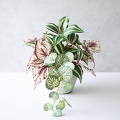 フェイクグリーン 寄せ植え ベゴニア 観葉植物 ポット 造花 セメント鉢 グレー 卓上