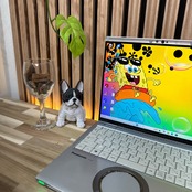 \ 公式ショップ限定価格❣️/ 《希少タッチパネル式》Let's note FV1 メモリ16GB SSD256GB 第11世代 14インチ ノートパソコン 安心サポート＆3ヶ月保証付き