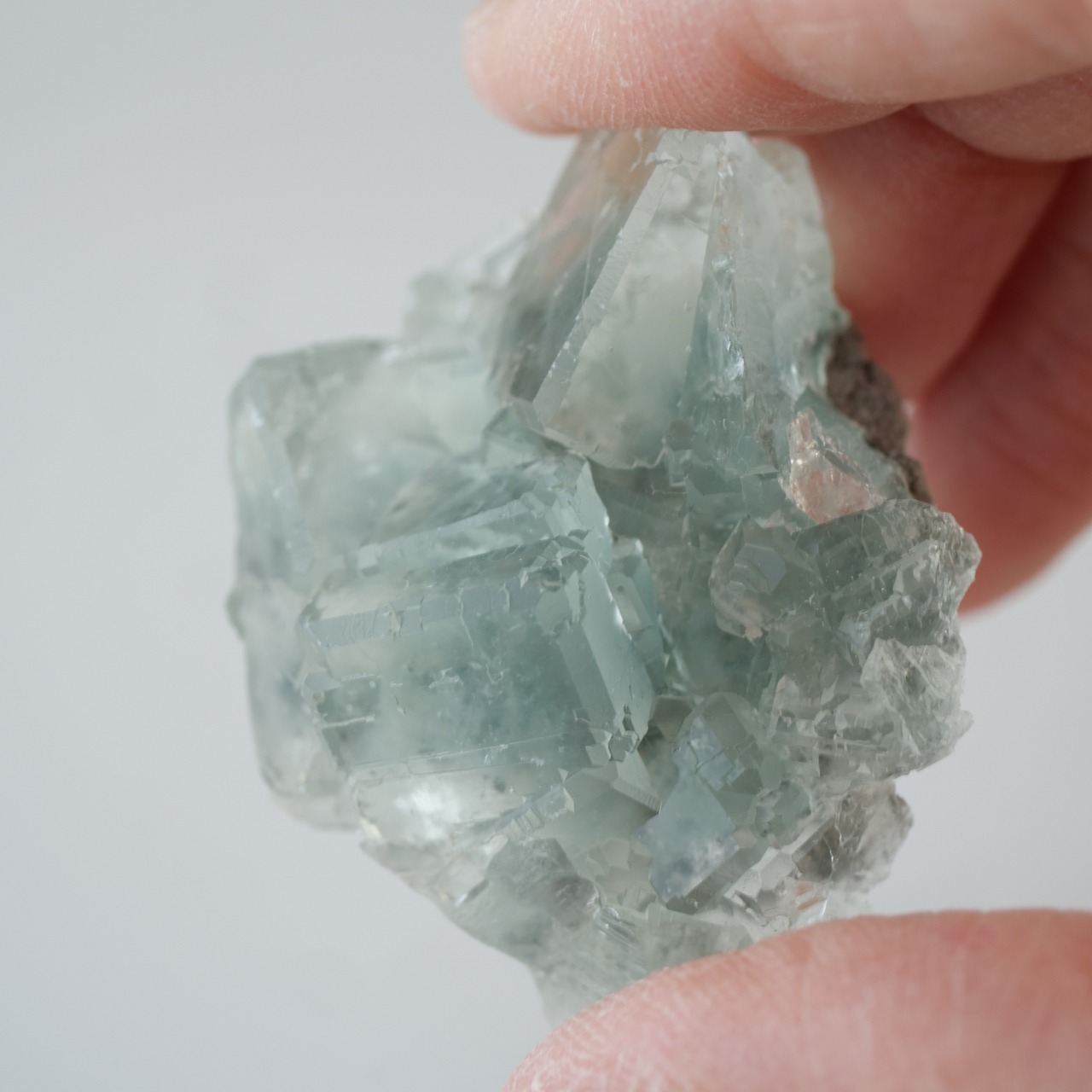 シャンファーリン産 フローライト / 原石 標本【A_1】