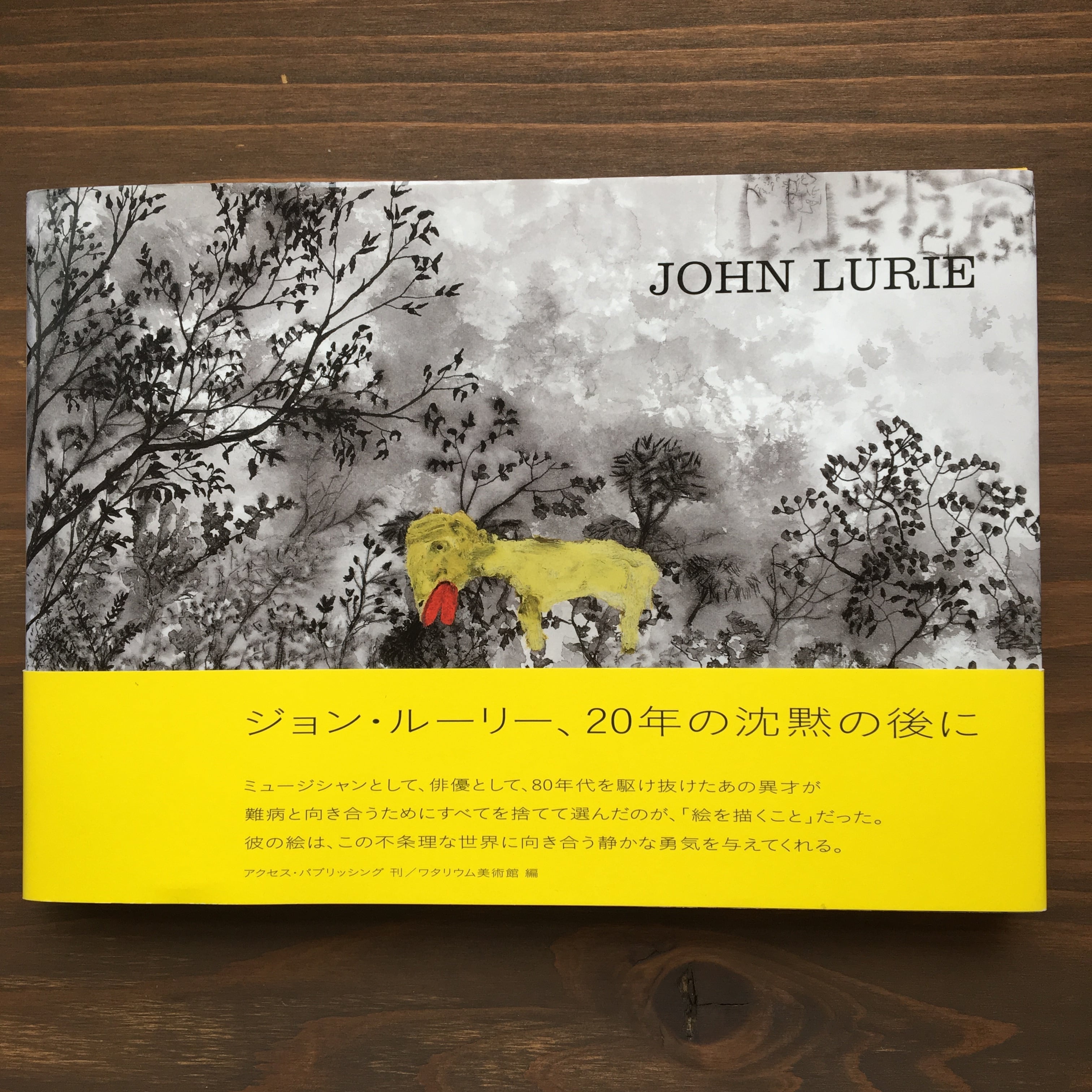 JOHN LURIE (アクセス・パブリッシング刊)