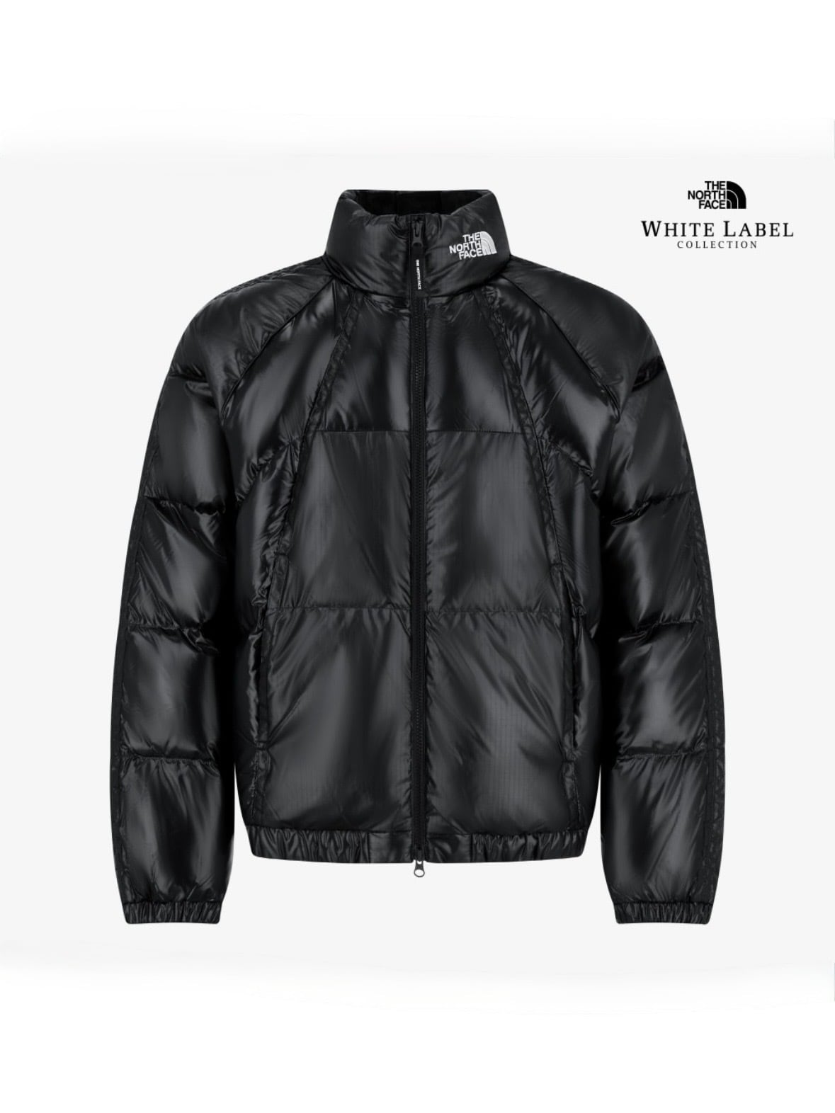 THE NORTH FACE WHITE LABEL ondora down jacket