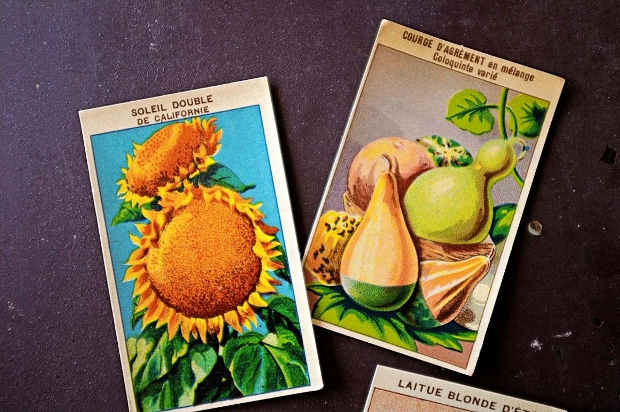 20s フランス 4set 膨満な花々と野菜たち 種子袋用ラベルj アンティーク