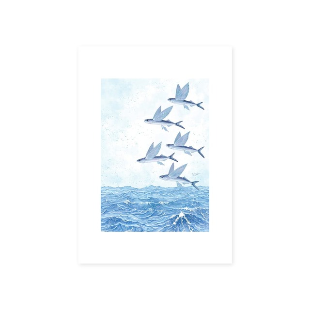 A5｜魚翔海図（ぎょしょうかいず）（フレームなし）