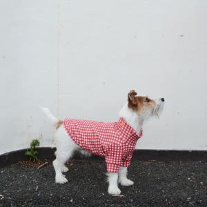 for dog gingham check turtle neck T-shirt red