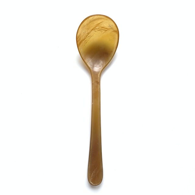 Horn Spoon【A】